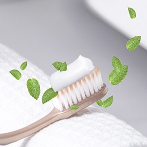 Rasa pudina yang segar
