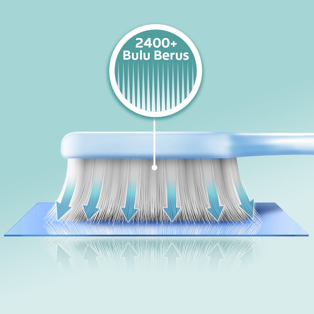 Bulu berus padat pada kepala berus gigi