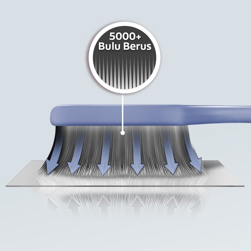 Bulu berus padat pada kepala berus gigi