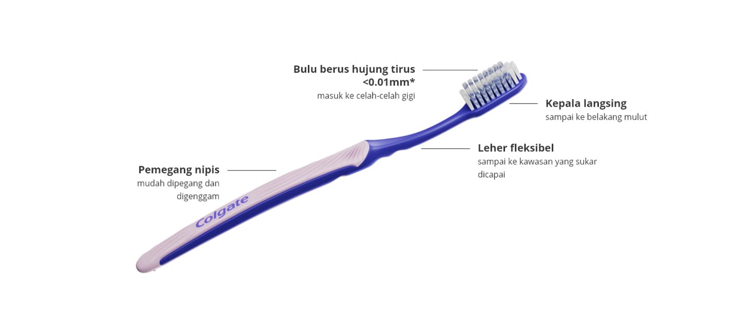 Bahagian-bahagian berbeza Berus Gigi Colgate SlimSoft Ortho